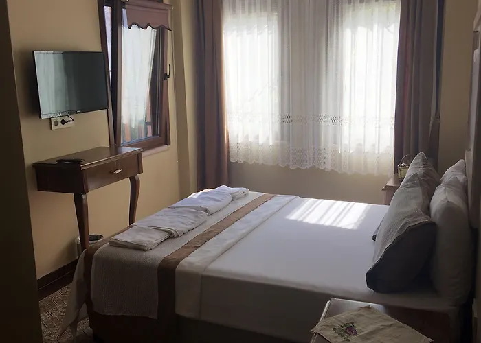 Hayriye Hanim Ege ホテル