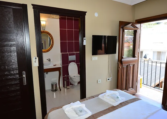 Hayriye Hanim Ege ホテル 2*