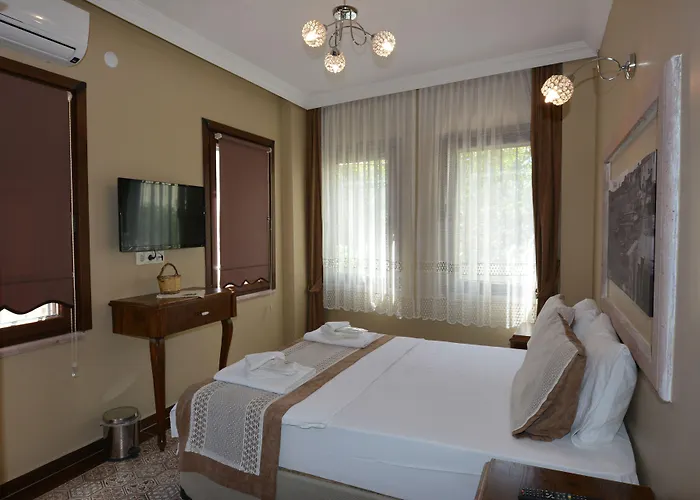 ホテル Hayriye Hanim Ege