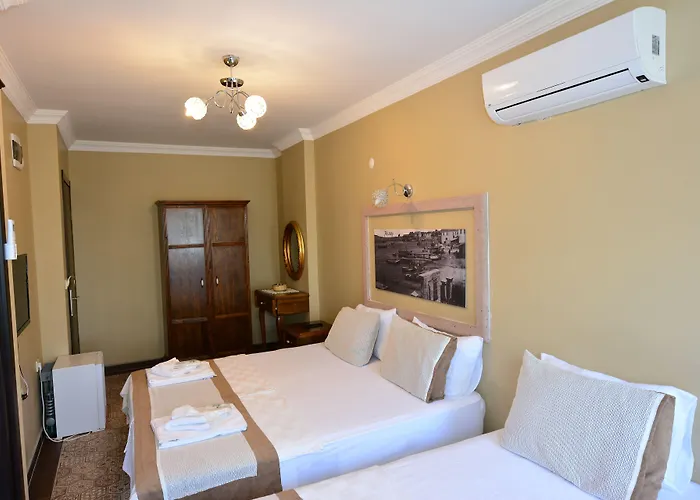 ホテル Hayriye Hanim Ege Ayvalı