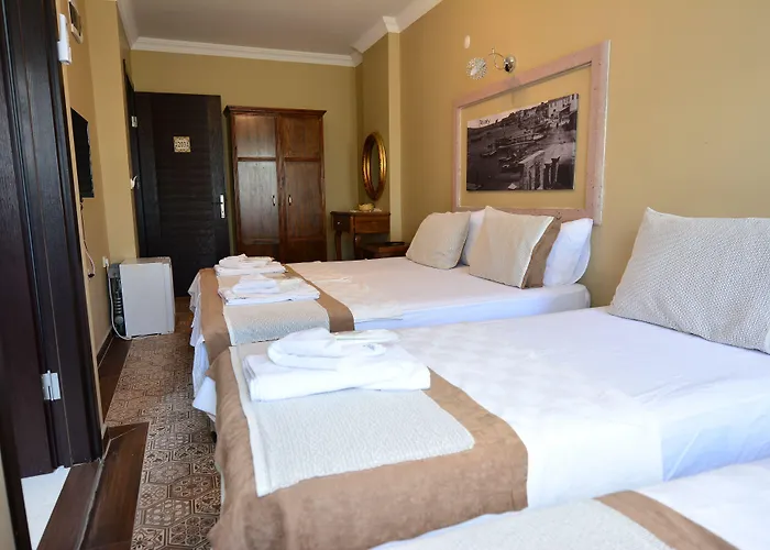 ホテル Hayriye Hanim Ege Ayvalı