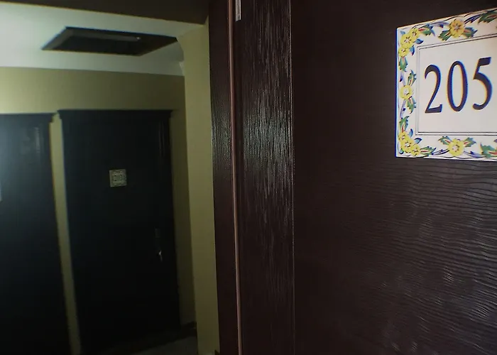 ホテル Hayriye Hanim Ege