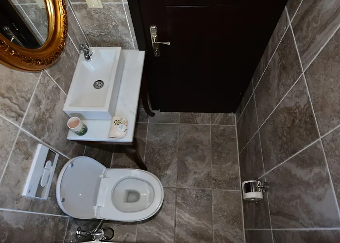 Hayriye Hanim Ege ホテル