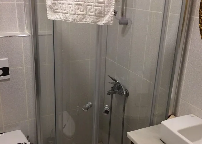 Hayriye Hanim Ege Ayvalı