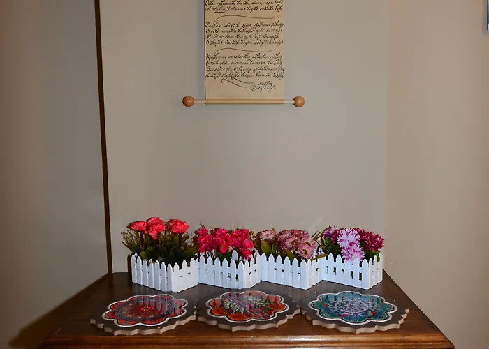 Hayriye Hanim Ege Ayvalı