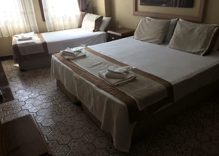 Hayriye Hanim Ege ホテル