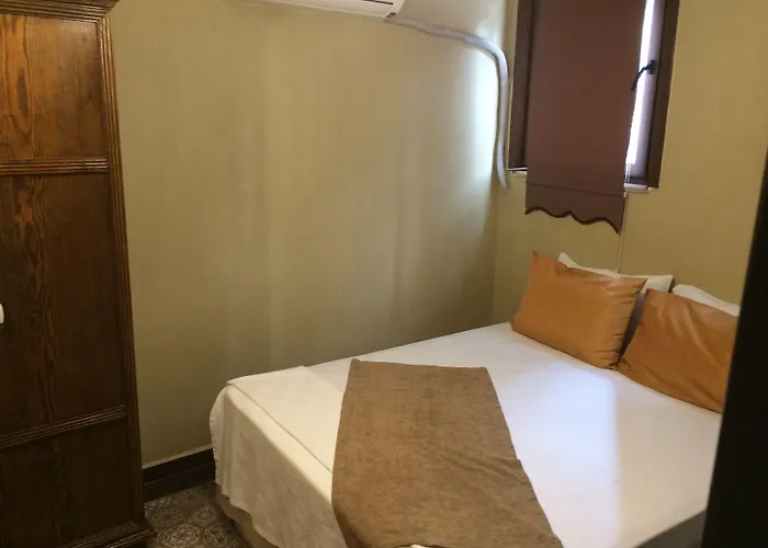 ホテル Hayriye Hanim Ege