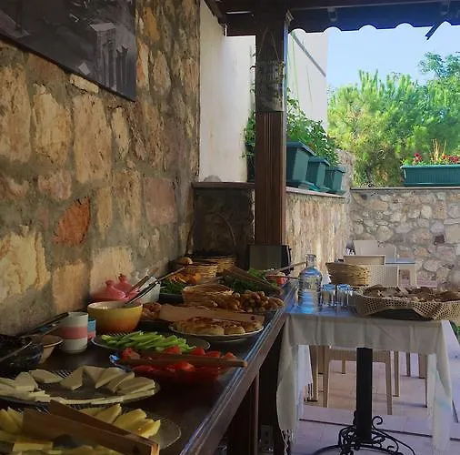 Hayriye Hanim Ege 2*