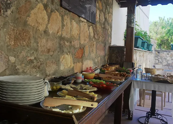 Hayriye Hanim Ege ホテル