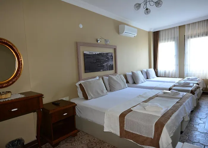 ホテル Hayriye Hanim Ege 2*