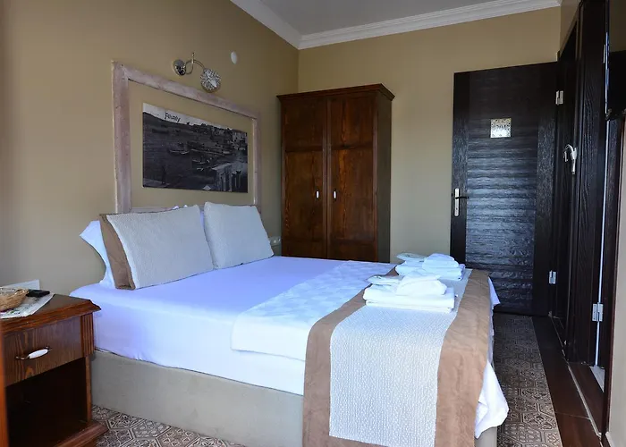 Hayriye Hanim Ege Ayvalı