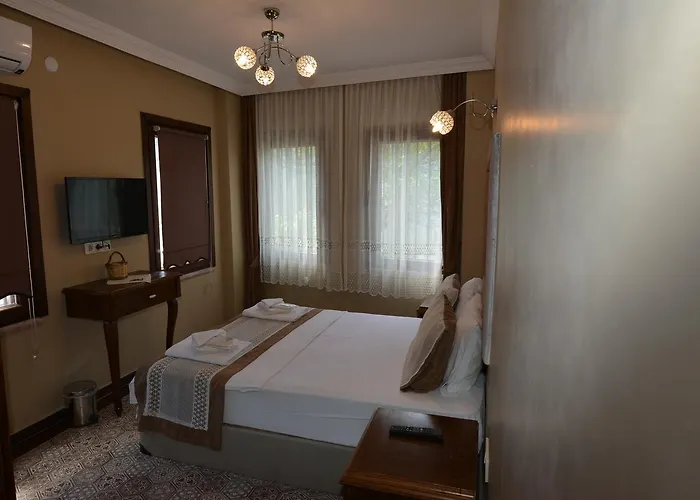 Hayriye Hanim Ege ホテル Ayvalı