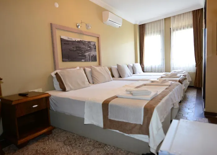 Hayriye Hanim Ege ホテル 2*