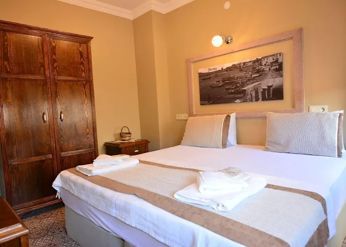 ホテル Hayriye Hanim Ege 2*