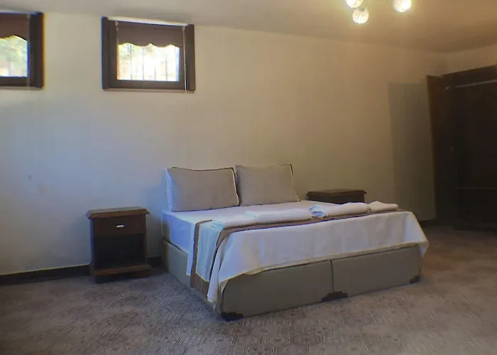 ホテル Hayriye Hanim Ege 2*