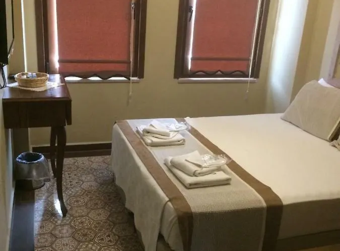 ホテル Hayriye Hanim Ege